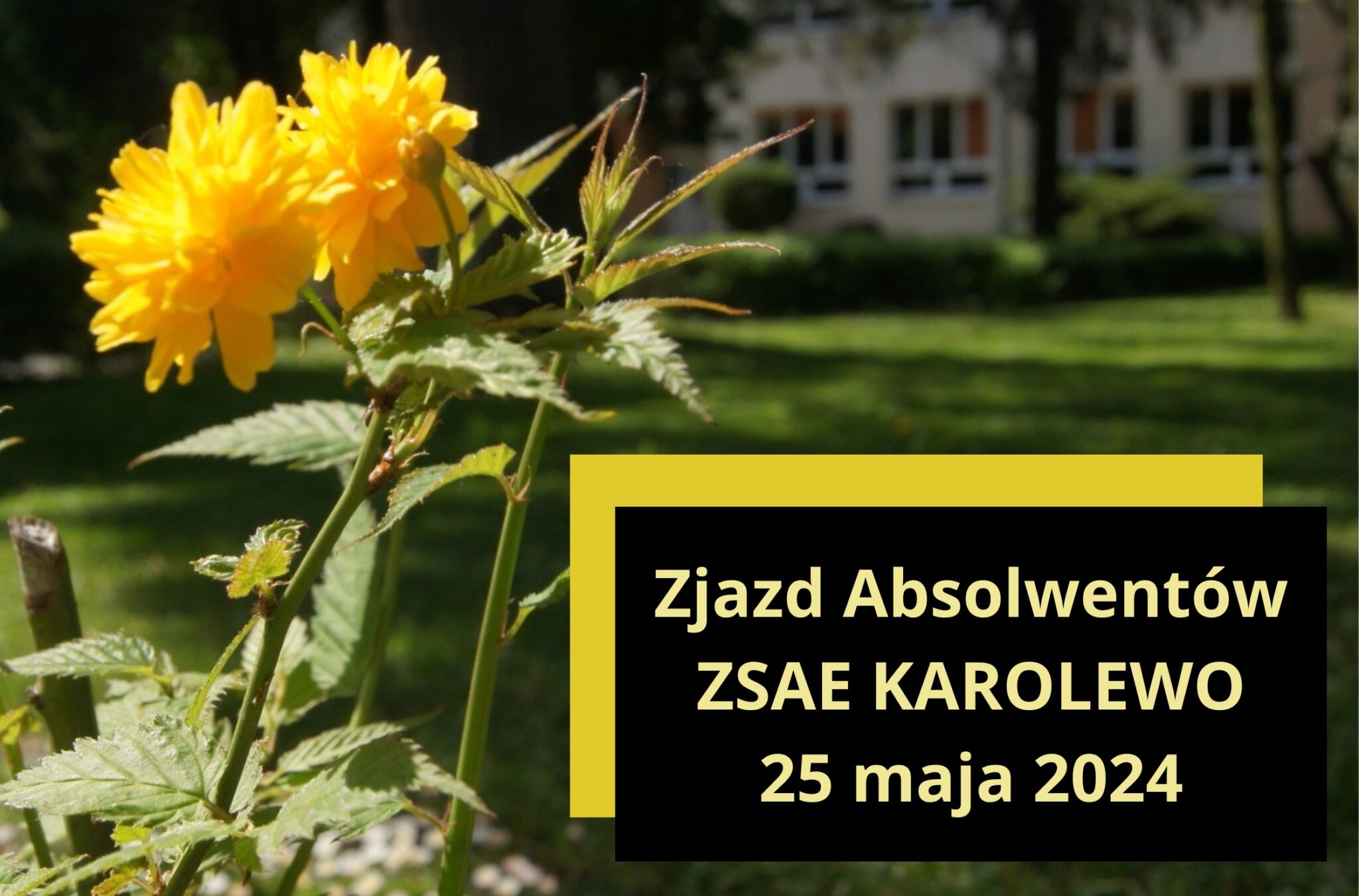 Zespół Szkół Agro-Ekonomicznych im. Bronisława Zamojdzina w Karolewie